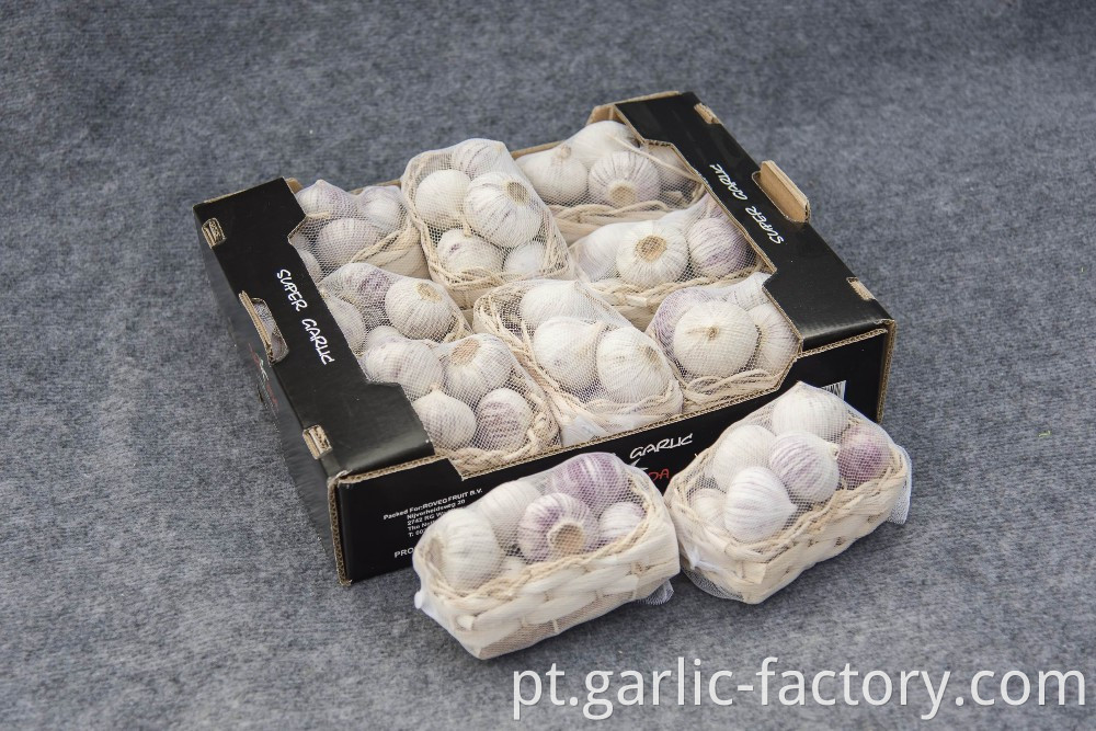 Top Quality Chinese Solo Garlic On Sale